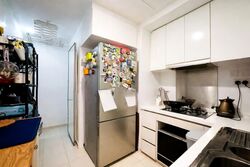 Oasis @ Elias (D18), Condominium #544924921